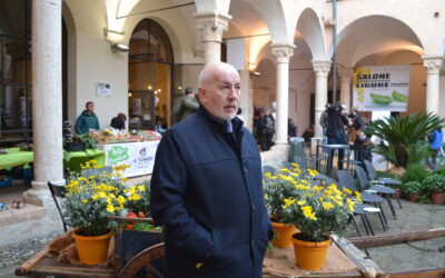Buongiorno 07122024